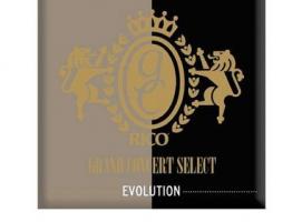 Трости для кларнета Bb Rico RGE10BCL350 Grand Concert Select Evolution, размер 3.5, 10шт